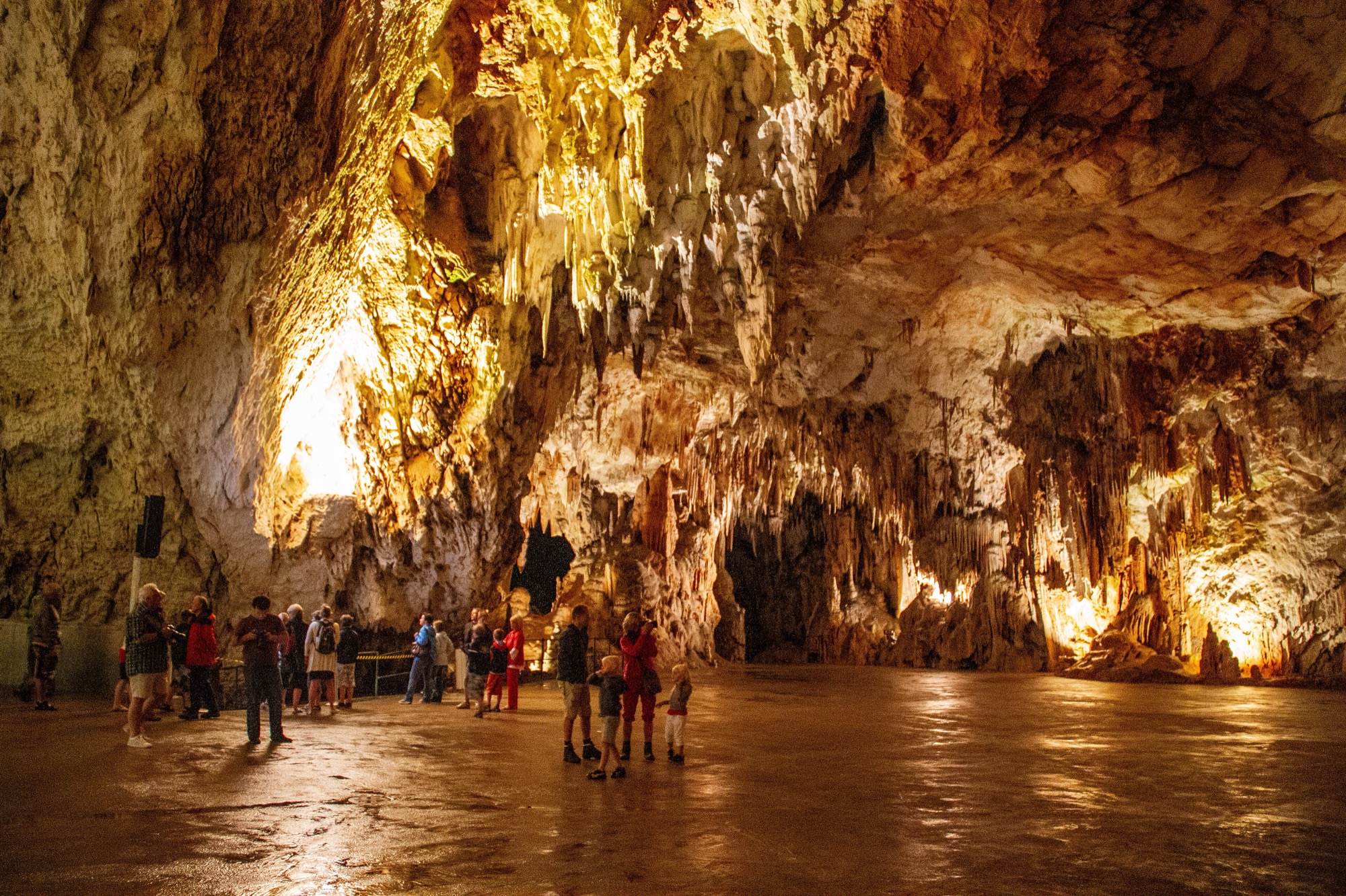 Visitors standing in the vast, lit Concert Hall of Postojna Cave